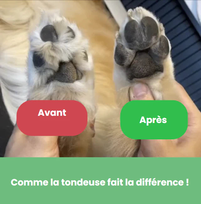 Tondeuse douce pour chien PRO