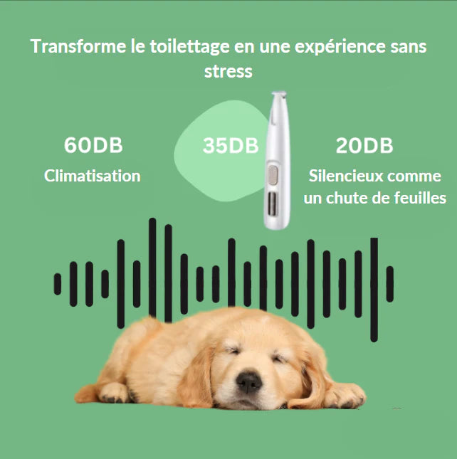 Tondeuse douce pour chien PRO